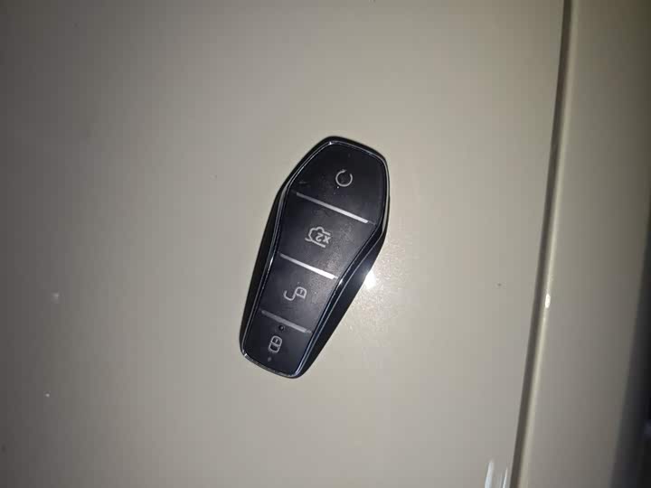 BYD Yuan Up 2025 2025款 301KM 领航型