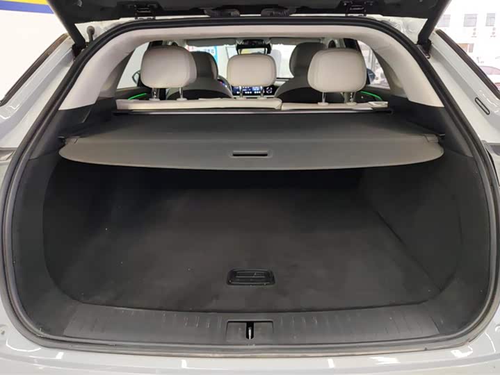 Exeed RX C-DM Hybrid 2024 2024款 1.5T 长续航Pro