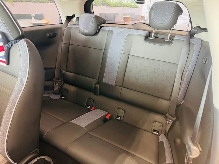 Mini Cooper 2024 2024款 452km COOPER SE 艺术家