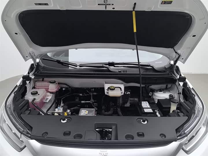 BYD Yuan Pro 2023 2023款 320KM豪华型