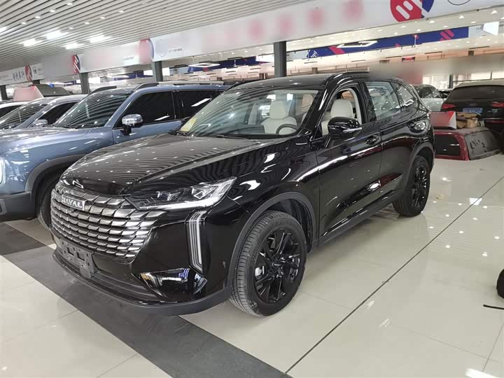 Haval H6 2024 2024款 2.0T 四驱Max
