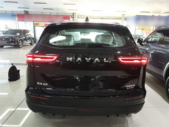 Haval H6 2024 2024款 2.0T 四驱Max