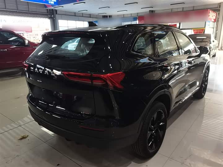 Haval H6 2024 2024款 2.0T 四驱Max