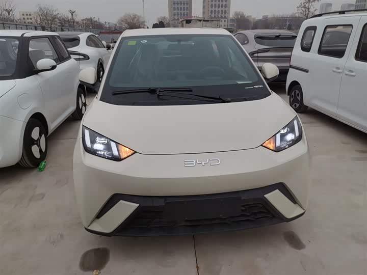 BYD Seagull 2025 2025款 405km 飞翔版