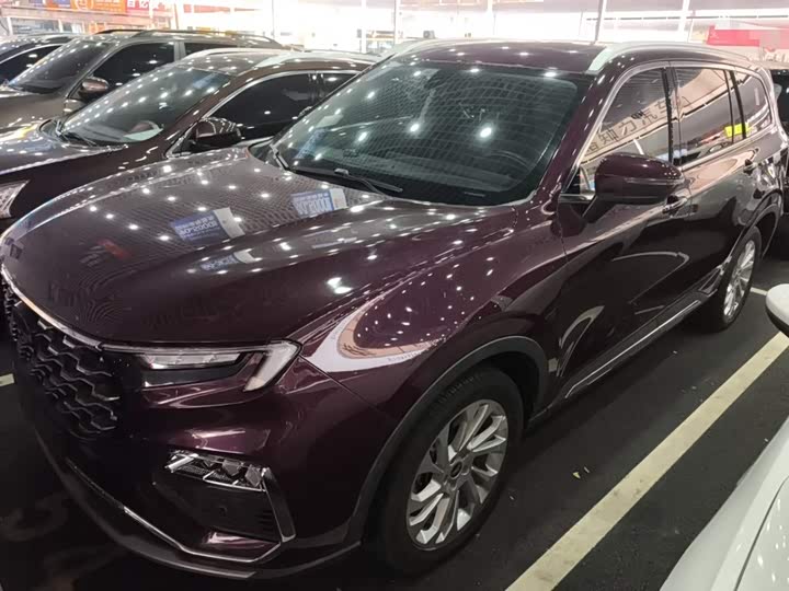 Ford Equator 2021 2021款 EcoBoost 225 铂领型 6座