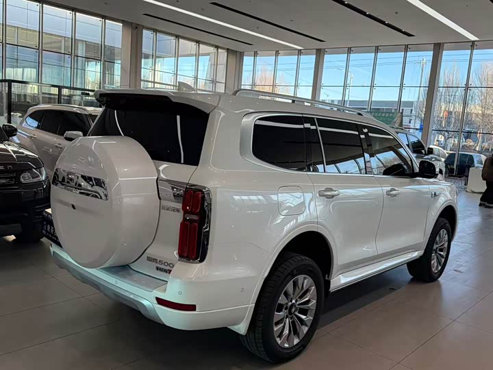 Tank 500 Hybrid 2026 2026款 Hi4-T 智享版