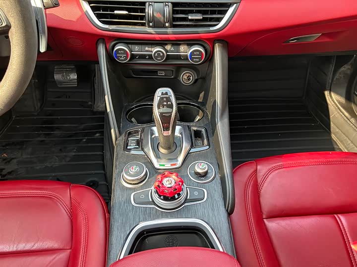 Alfa Romeo Giulia 2021 2021款 2.0T 280HP 豪华版