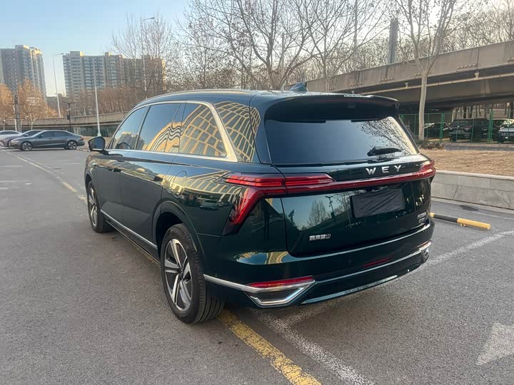 Wey Lanshan 2025 2025款 四驱智驾 Max