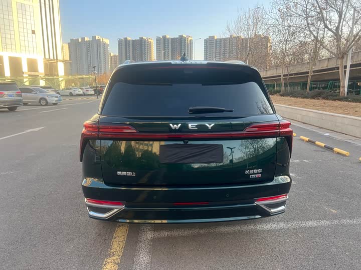 Wey Lanshan 2025 2025款 四驱智驾 Max