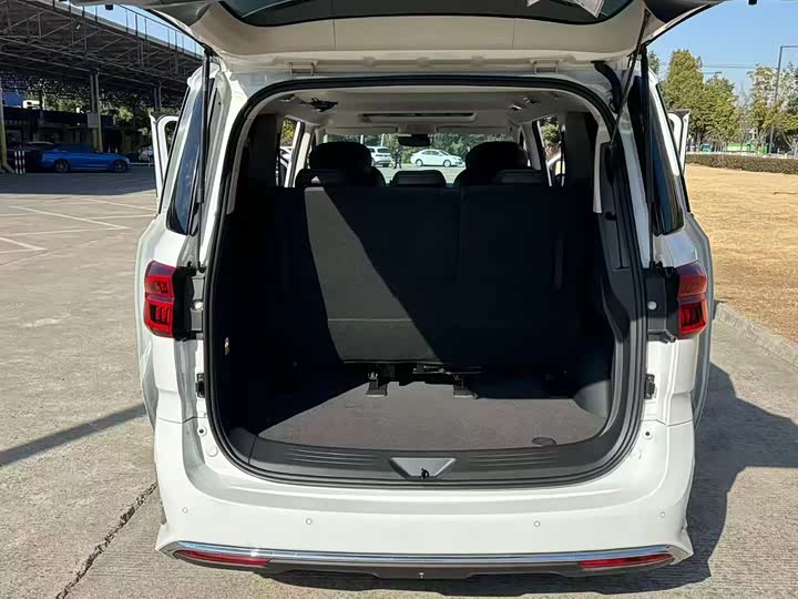 Maxus G20 2023 2023款 PLUS 2.0T 汽油自动尊雅版