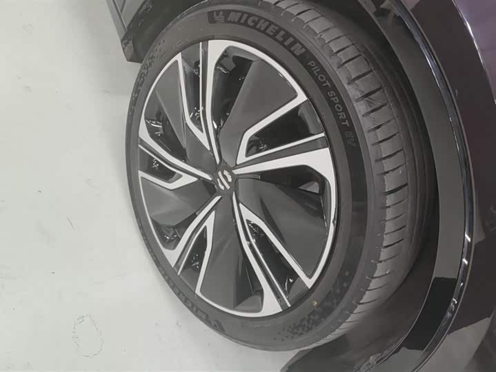 HiPhi X 2021 2021款 豪华版6座