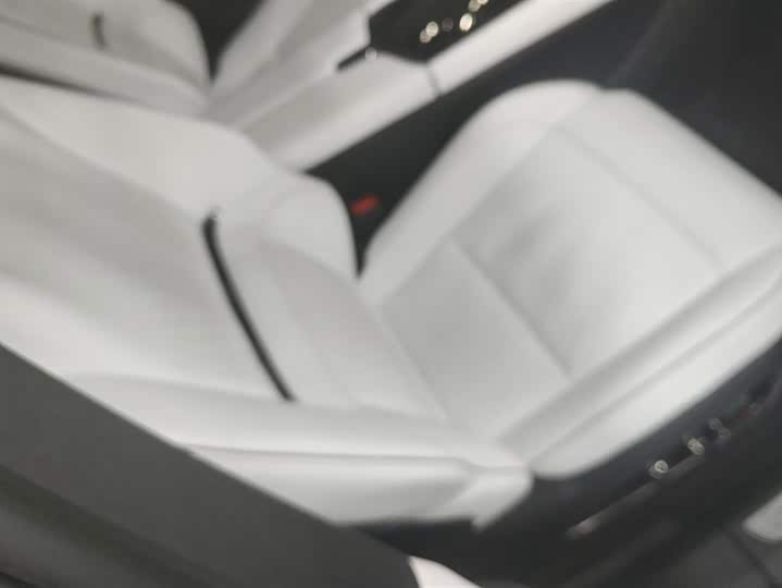 HiPhi X 2021 2021款 豪华版6座