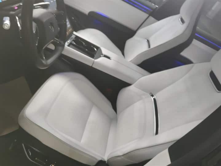 HiPhi X 2021 2021款 豪华版6座