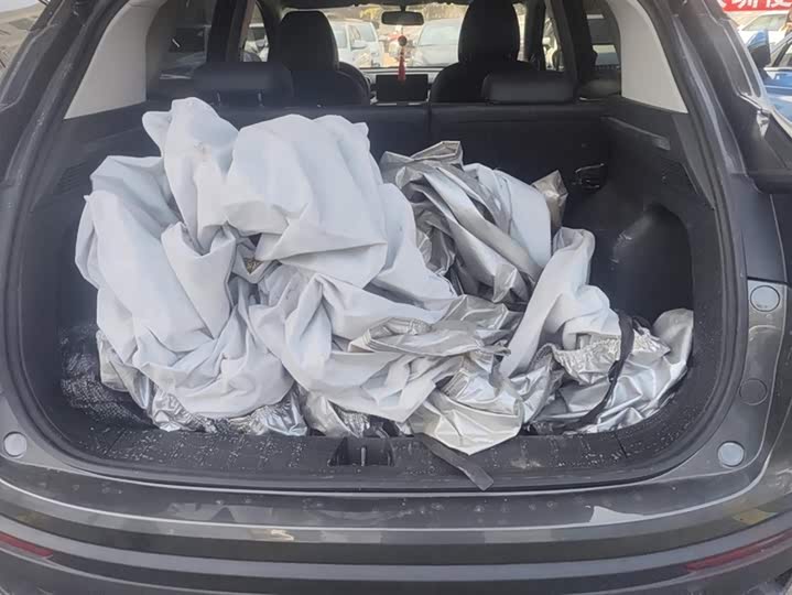 Geely Coolray 2024 2024款 1.5T DCT 龙腾