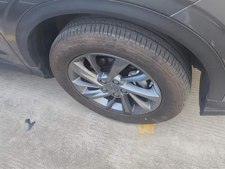 Geely Coolray 2024 2024款 1.5T DCT 龙腾