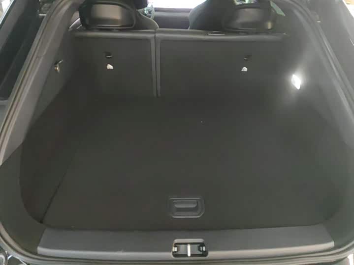 Geely Jiyue 01 2024 2024款 Max 性能版