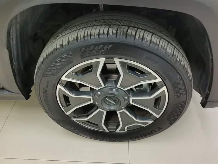 Haval H-Dog Hybrid 2024 2024款 Hi4 102km 潮电版Plus