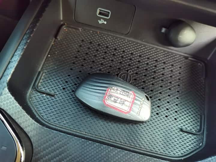 Haval H-Dog Hybrid 2023 2023款 DHT-PHEV 105km 潮电版