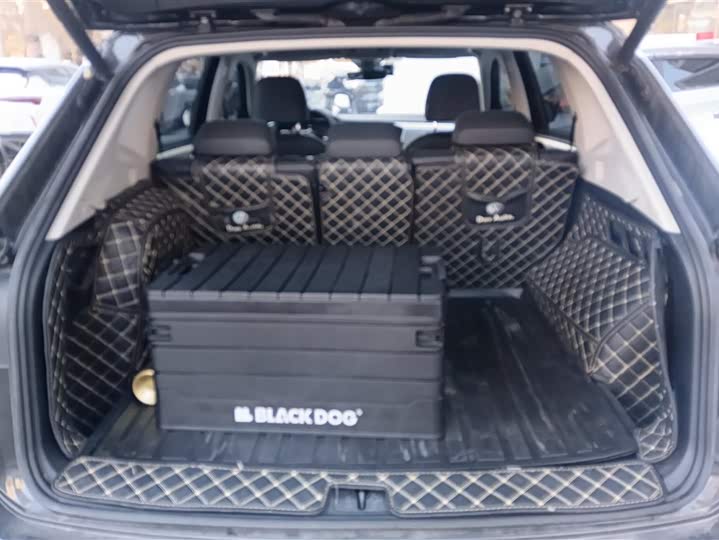 Volkswagen Tayron GTE Hybrid 2022 2022款 1.4T 尊贵型