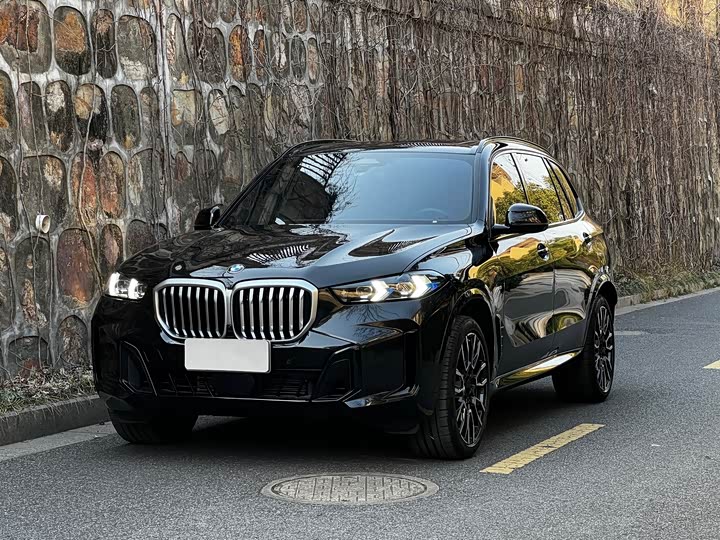 BMW X5 2025 2025款 xDrive 40Li M运动曜夜套装