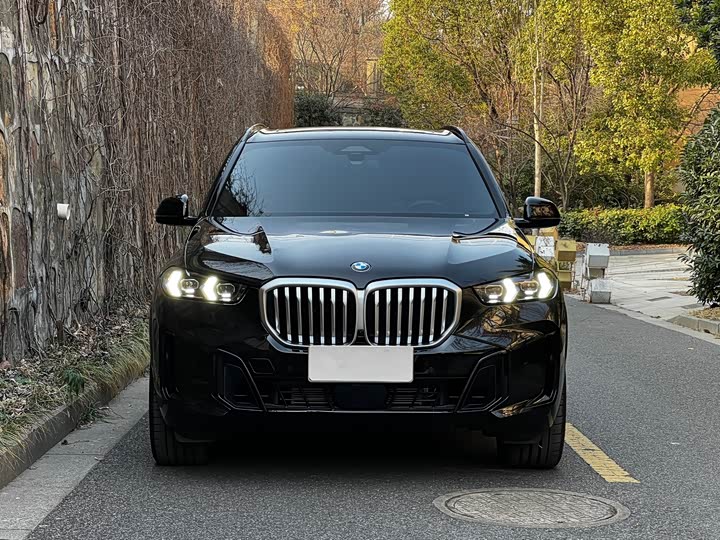 BMW X5 2025 2025款 xDrive 40Li M运动曜夜套装