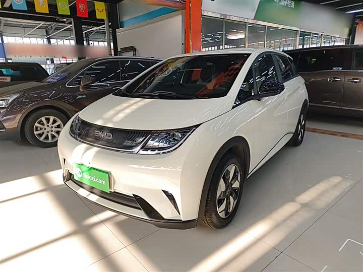 BYD Dolphin 2025 2025款 420km 自由版