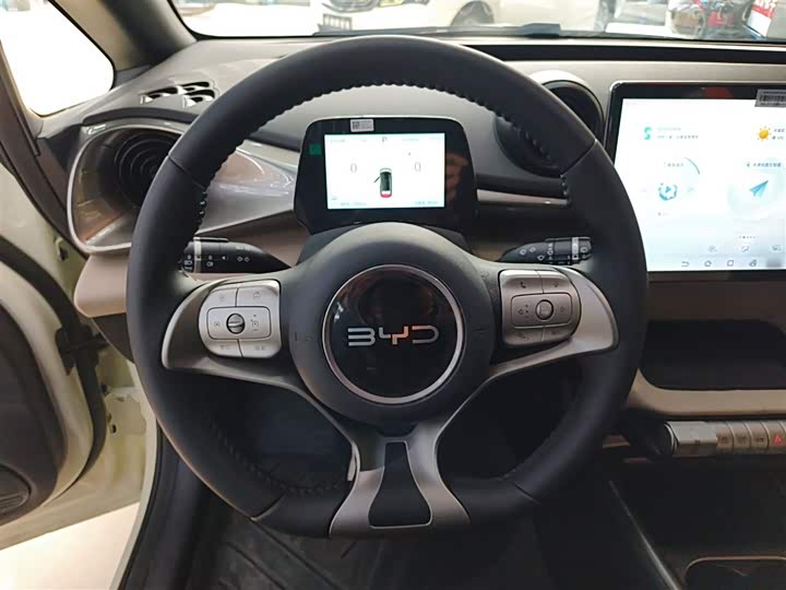 BYD Dolphin 2025 2025款 420km 自由版