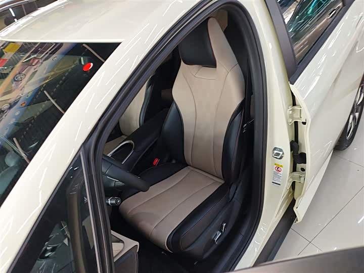 BYD Dolphin 2025 2025款 420km 自由版