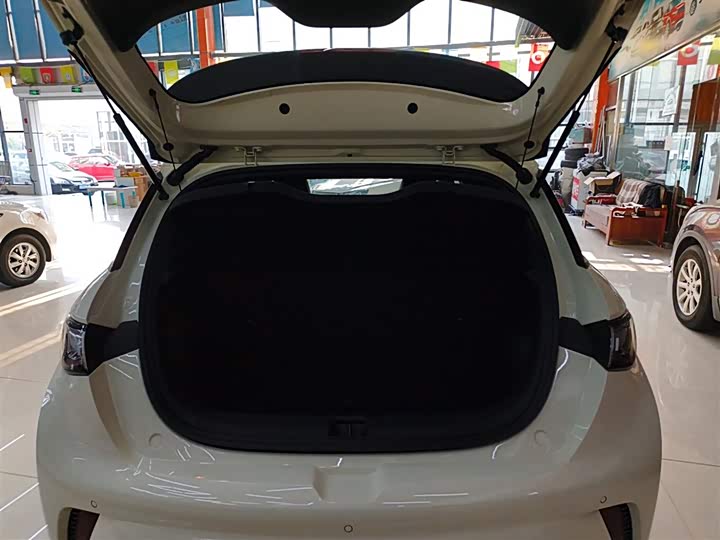 BYD Dolphin 2025 2025款 420km 自由版