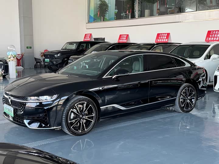 Voyah Passion 2024 2024款 PHEV 四驱超长续航旗舰版