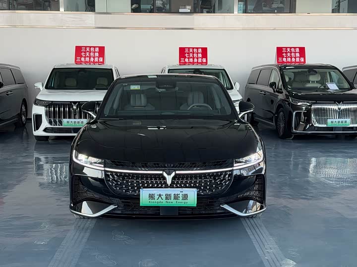 Voyah Passion 2024 2024款 PHEV 四驱超长续航旗舰版
