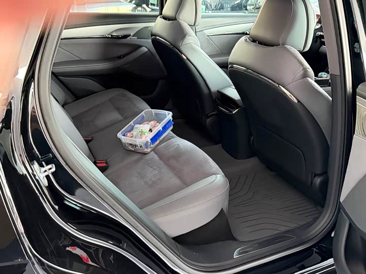 Voyah Passion 2024 2024款 PHEV 四驱超长续航旗舰版