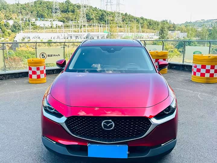 Mazda CX-30 2024 2024款 2.0L 自动尊悦型