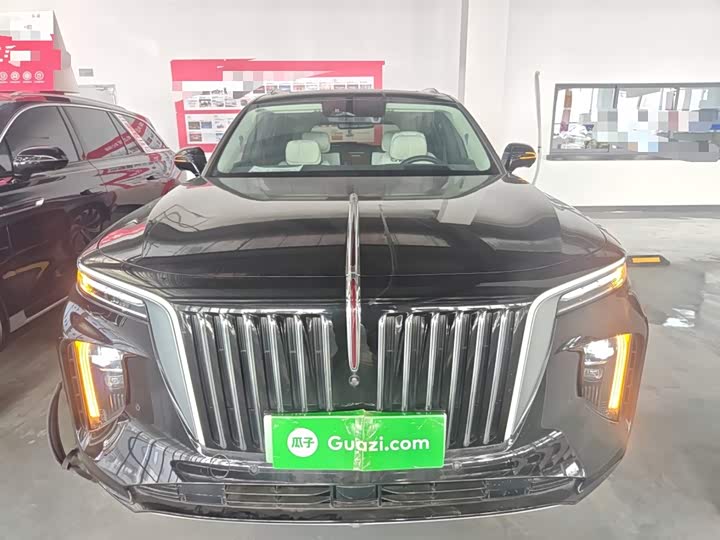 Hongqi E-HS9 2022 2022款 660km 旗领版 四座