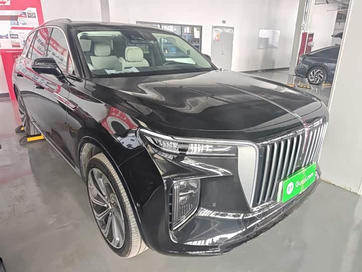 Hongqi E-HS9 2022 2022款 660km 旗领版 四座