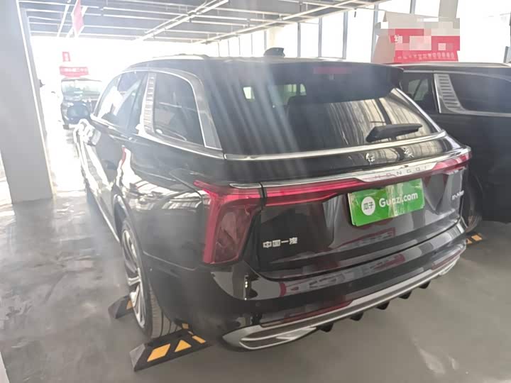 Hongqi E-HS9 2022 2022款 660km 旗领版 四座