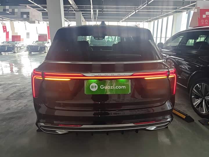 Hongqi E-HS9 2022 2022款 660km 旗领版 四座