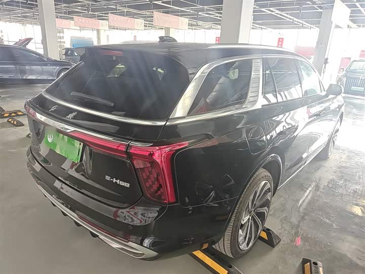Hongqi E-HS9 2022 2022款 660km 旗领版 四座
