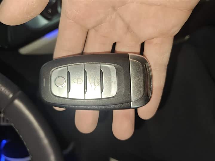 Hongqi E-HS9 2022 2022款 660km 旗领版 四座