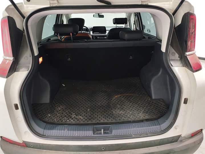 Bestune NAT 2023 2023款 PRO 悦享出行换电版 401km