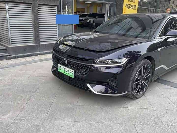 Voyah Passion 2024 2024款 PHEV 四驱超长续航旗舰版