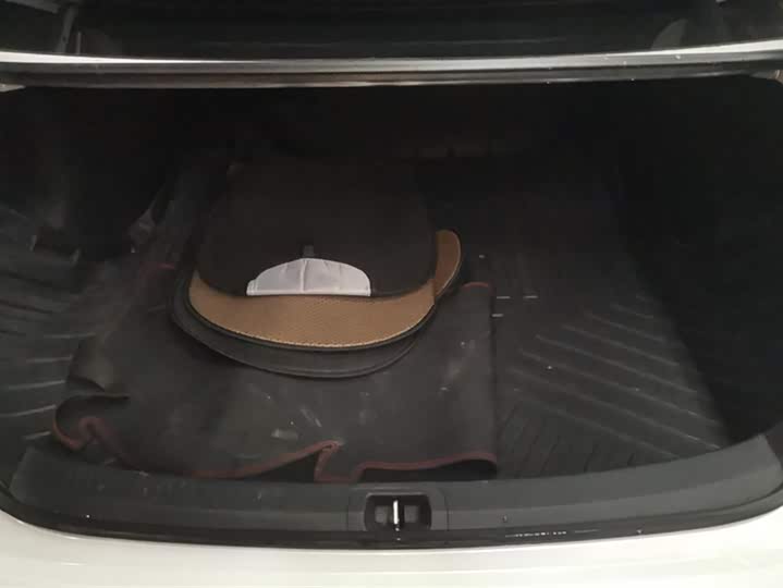 Toyota Allion 2023 2023款 2.0L 先锋版