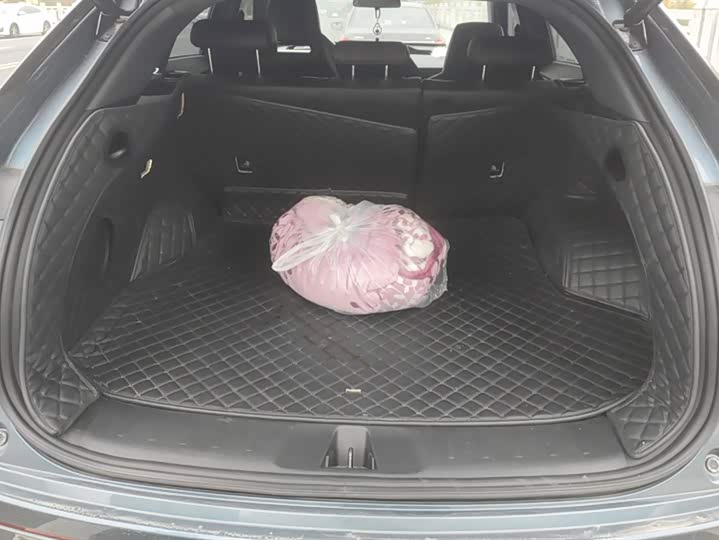 Changan Oshan Z6 Hybrid 2023 2023款 智电iDD 150KM旗舰PLUS