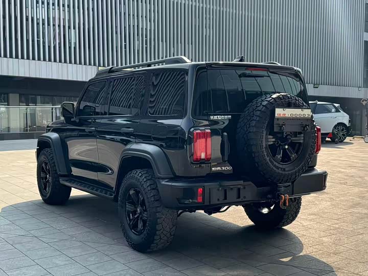 Tank 300 2024 2024款 2.0T 征服者