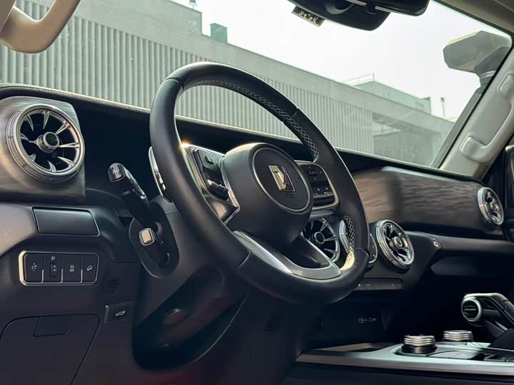 Tank 300 2024 2024款 2.0T 征服者