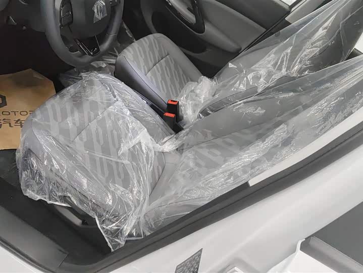 Leapmotor T03 2025 2025款 310舒享版