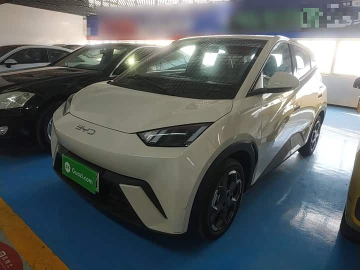 BYD Seagull 2025 2025款 305km 自由版