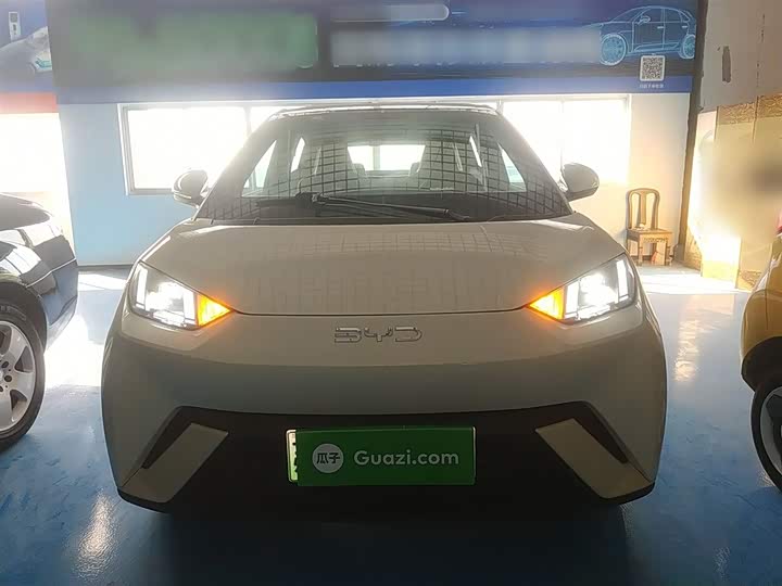 BYD Seagull 2025 2025款 305km 自由版