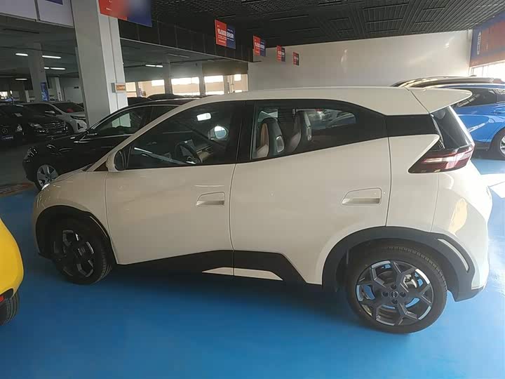 BYD Seagull 2025 2025款 305km 自由版