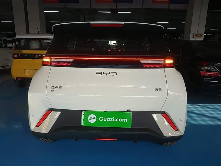 BYD Seagull 2025 2025款 305km 自由版